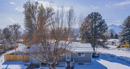 Colorado Springs Uccs Grey Cottagedog Friendly!