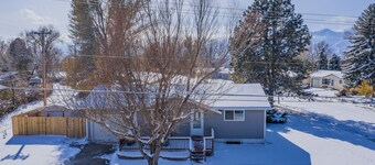 Colorado Springs Uccs Grey Cottagedog Friendly!