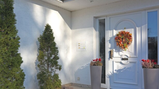 A white exterior wall with a door, a small tree, and two potted plants.