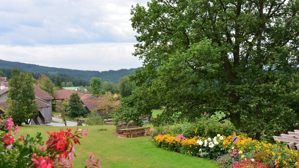 A garden with a wooden bench, a grassy lawn, and colorful flowers. - Ferienhaus mit Sauna in Skigebietsnahe (Drachselsried)