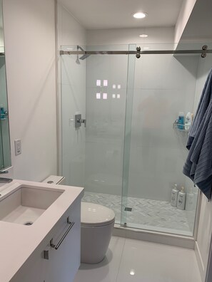 Combined shower/tub, hair dryer, towels, soap