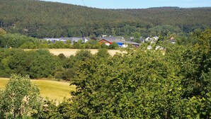 Een landelijk landschap met huizen, een veld en een beboste heuvel.