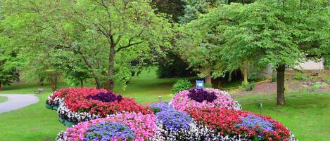 Ferienhaus | Blick von der Unterkunft