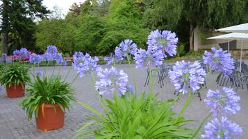 Rumah | Pemandangan dari properti