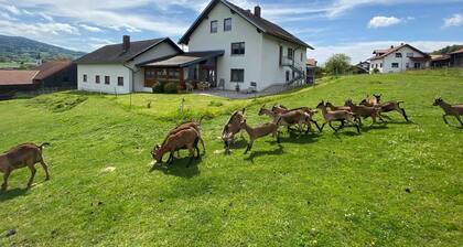 Apartment in Bavaria Near Forest