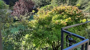 A lush garden with a variety of trees and shrubs, a metal railing, and a clear blue sky. - Cottage in Durbuy With Terrace, Garden (Durbuy)