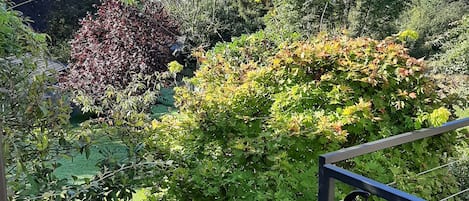 Cottage | Vue depuis lâhĂ©bergement