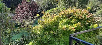 コテージ イン デュルブイ ウィズ テラス, ガーデン