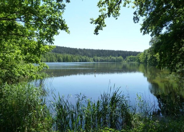 A calm lake surrounded by dense forest and trees. - Charming Forest Escape for Two (Ilmenau)
