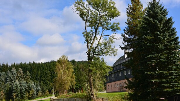 Apartment | Exterior - Apartment Nahe Erzgebirge fur 2 Personen (Neuhausen)