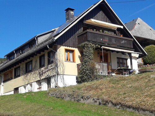 Cosy Apartment in Todtnauberg in the Black Forest With Private Terrace
