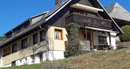 Cosy Apartment in Todtnauberg in the Black Forest With Private Terrace
