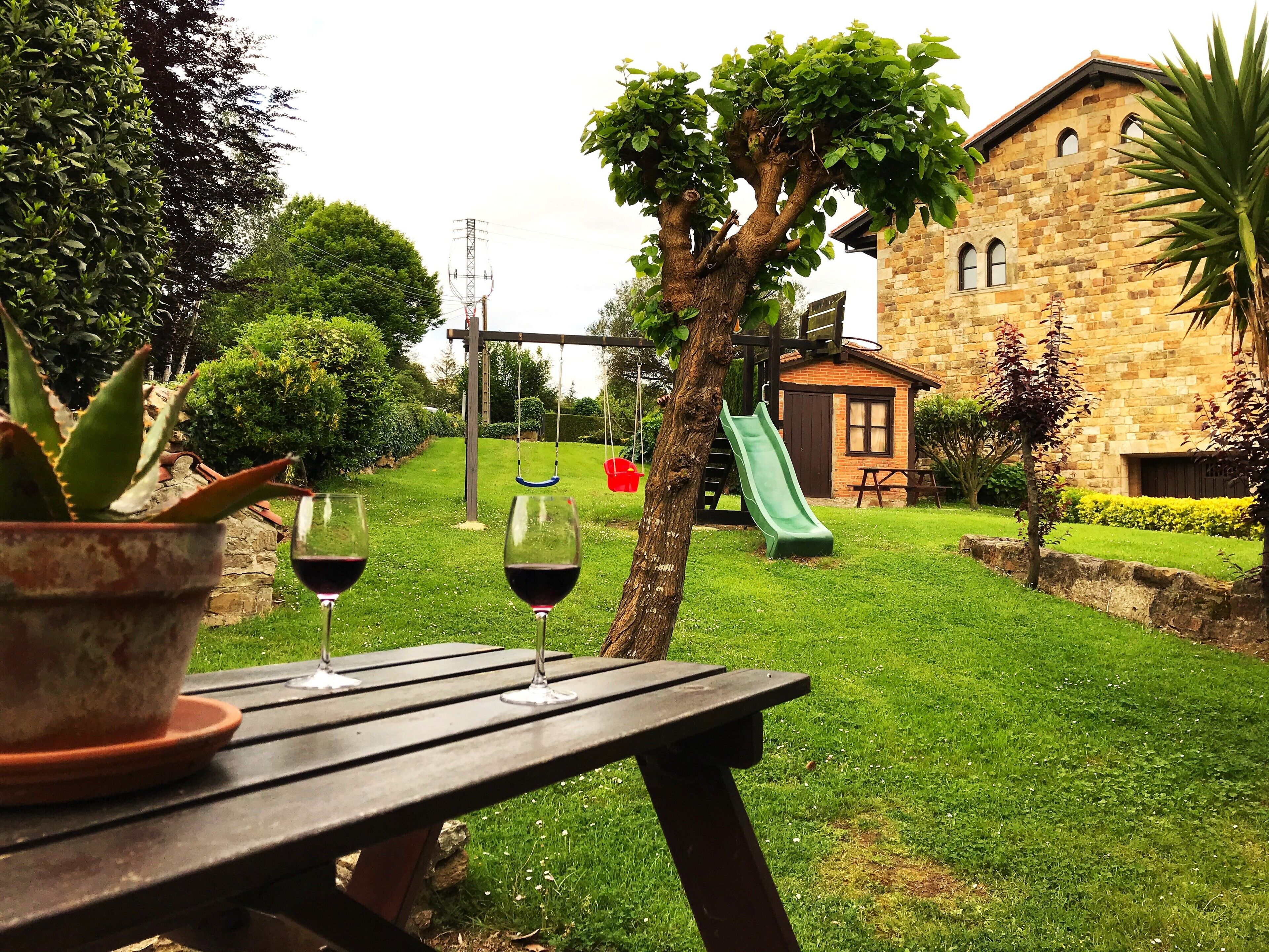 Un patio con una mesa, dos copas de vino tinto y una planta en maceta.