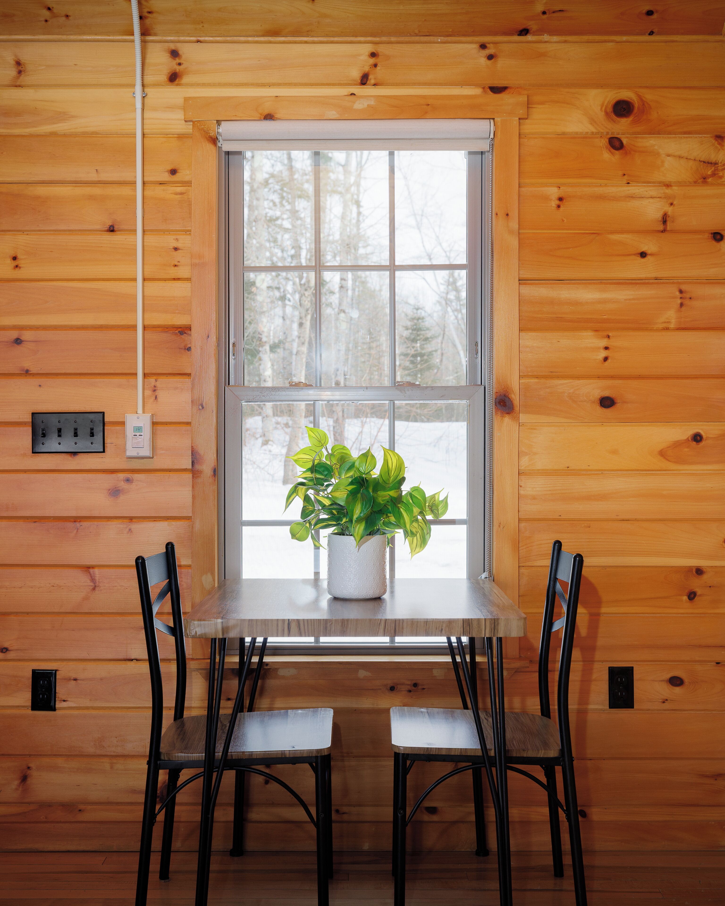 A wooden cabin interior with a dining table, two chairs, and a potted plant by a window.