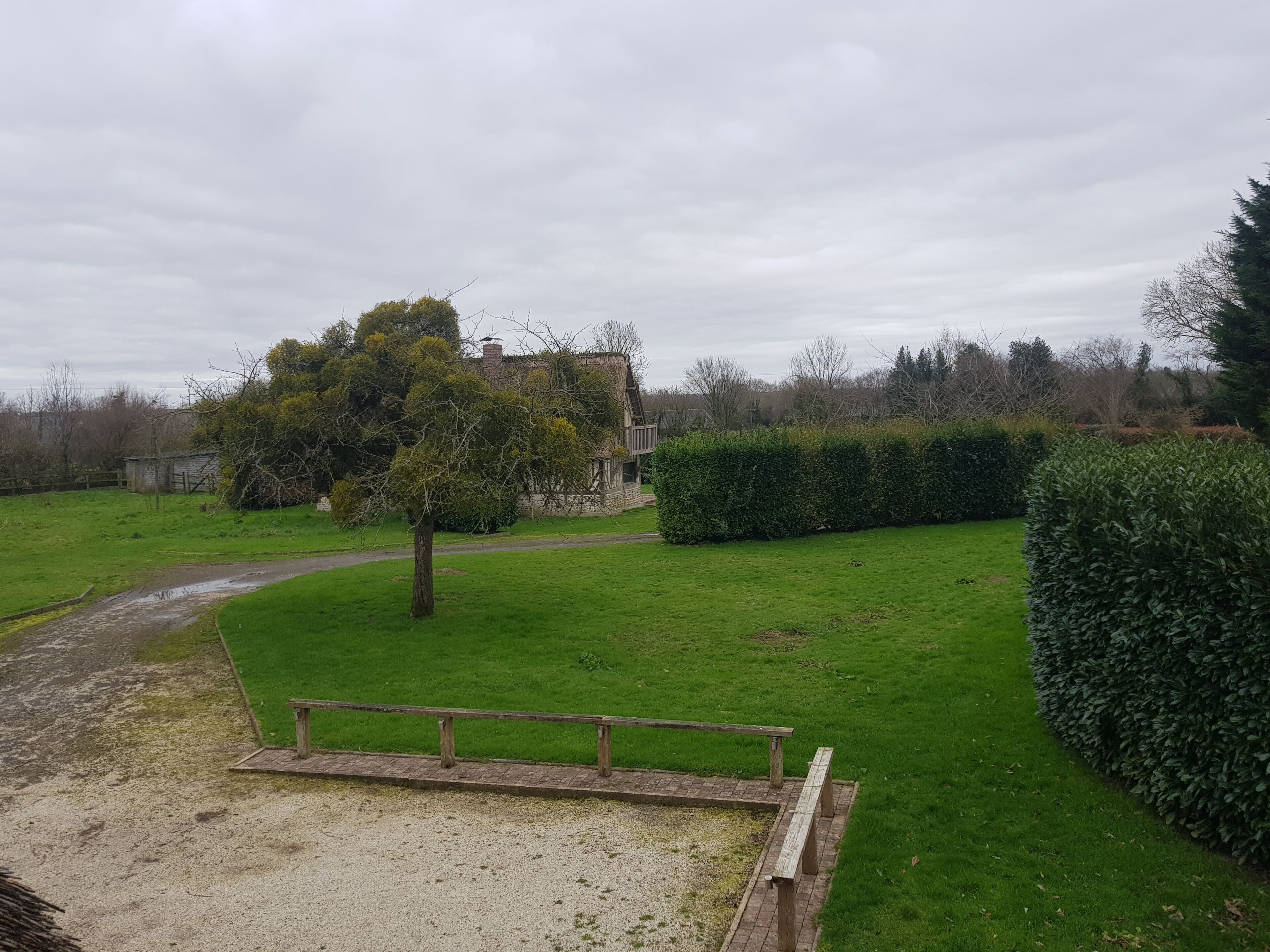 Un espace verdoyant avec un banc en bois, une haie et un bâtiment en arrière-plan.