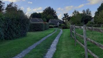 A rural pathway leading to a house with a gravel path and wooden fence.