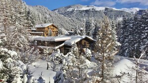 A snow-covered lodge with a wooden exterior, surrounded by snow-laden trees and mountains in the background. - Unique & Exclusively Furnished Chalet near Ski Lift (Mittersill)