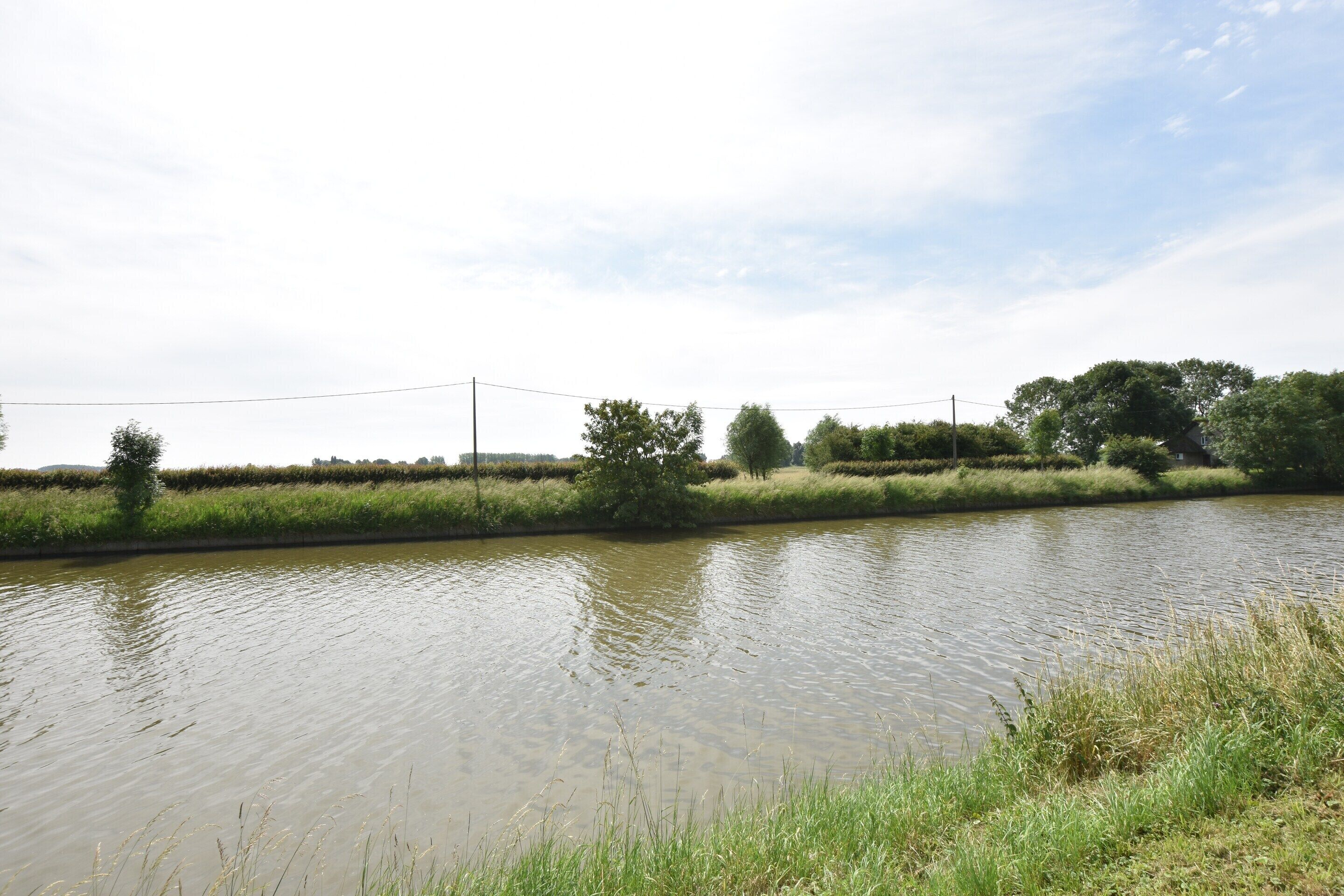A calm river with a grassy bank and trees in the background.