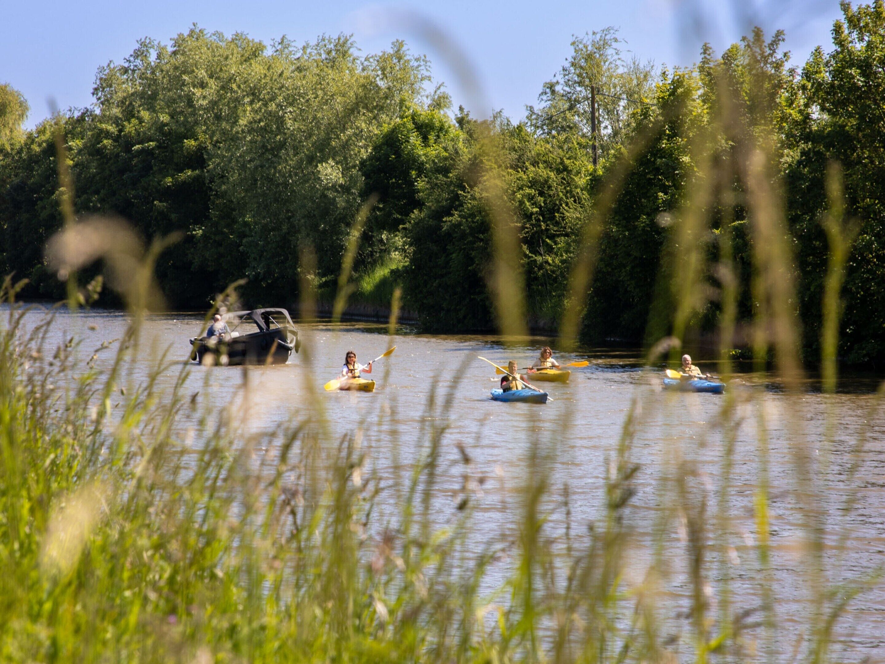 Un grupo de personas haciendo kayak en un río rodeado de exuberante vegetación.