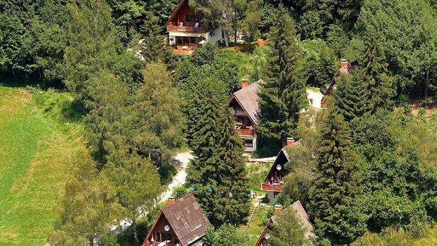 A cluster of wooden cabins surrounded by dense forest.