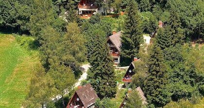 Small Pet-friendly Holiday Park With Nassfeld Card in High Season