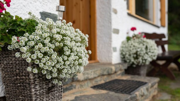 A white building with a wooden door and windows. There are two potted plants with white flowers and a red flower in front of the door. - Alpine Hut in Eberstein Near Ski Area (Eberstein)