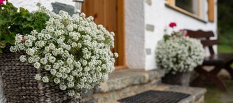 埃伯斯泰因滑雪區附近的高山小屋  