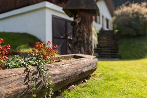 House | Interior detail - Alpine Hut in Eberstein Near Ski Area (Eberstein)