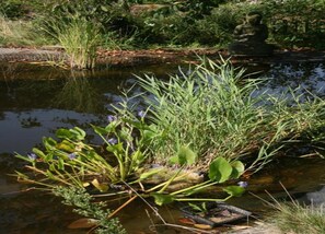 Cottage | View from property - Cottage With Tennis Court (Havelange)