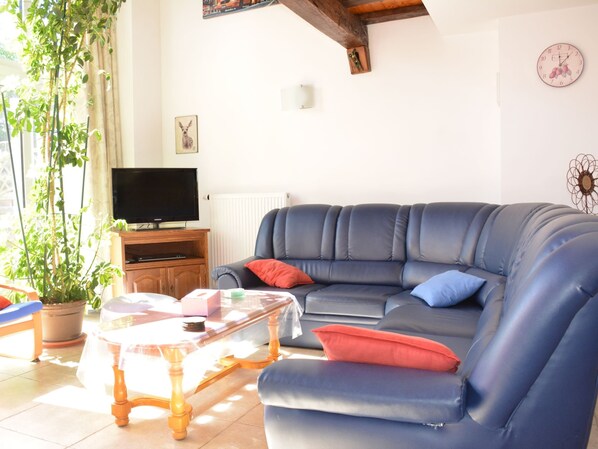 A living room with a blue leather sofa, a wooden coffee table, a television on a wooden stand, and a potted plant.