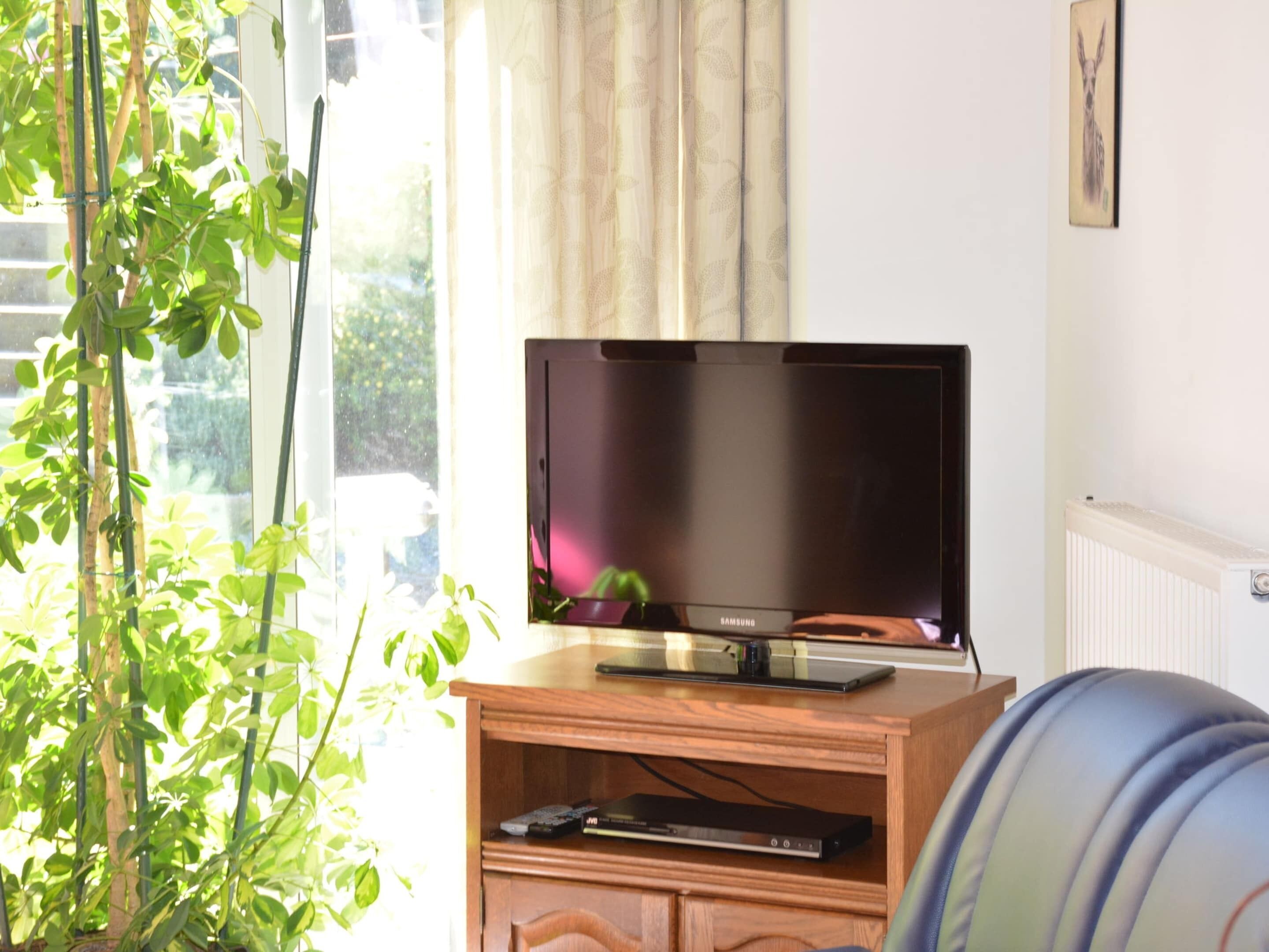 Een televisie op een houten standaard in een kamer met een raam, een radiator en een plant.