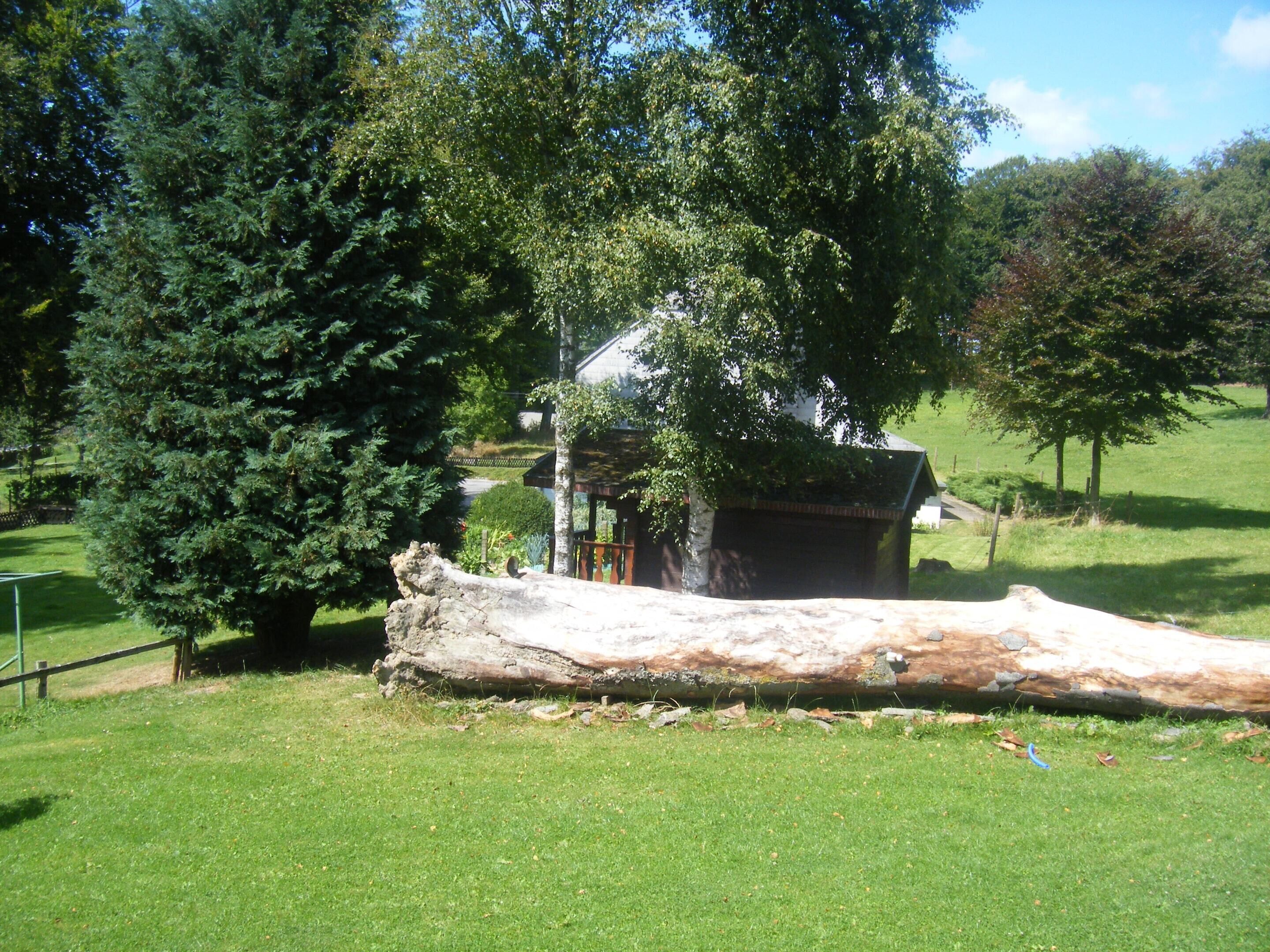 A grassy area with a large fallen tree, a wooden structure, and a fence.