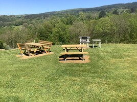 Un área de picnic con bancos y una parrilla, rodeada por un campo cubierto de hierba y árboles.