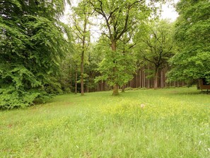 House | View from property