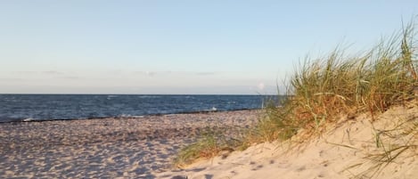 Ein Sandstrand mit Wellen und vereinzelter Vegetation.