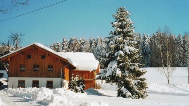 A wooden cabin with a snow-covered roof, surrounded by a snowy landscape and evergreen trees.