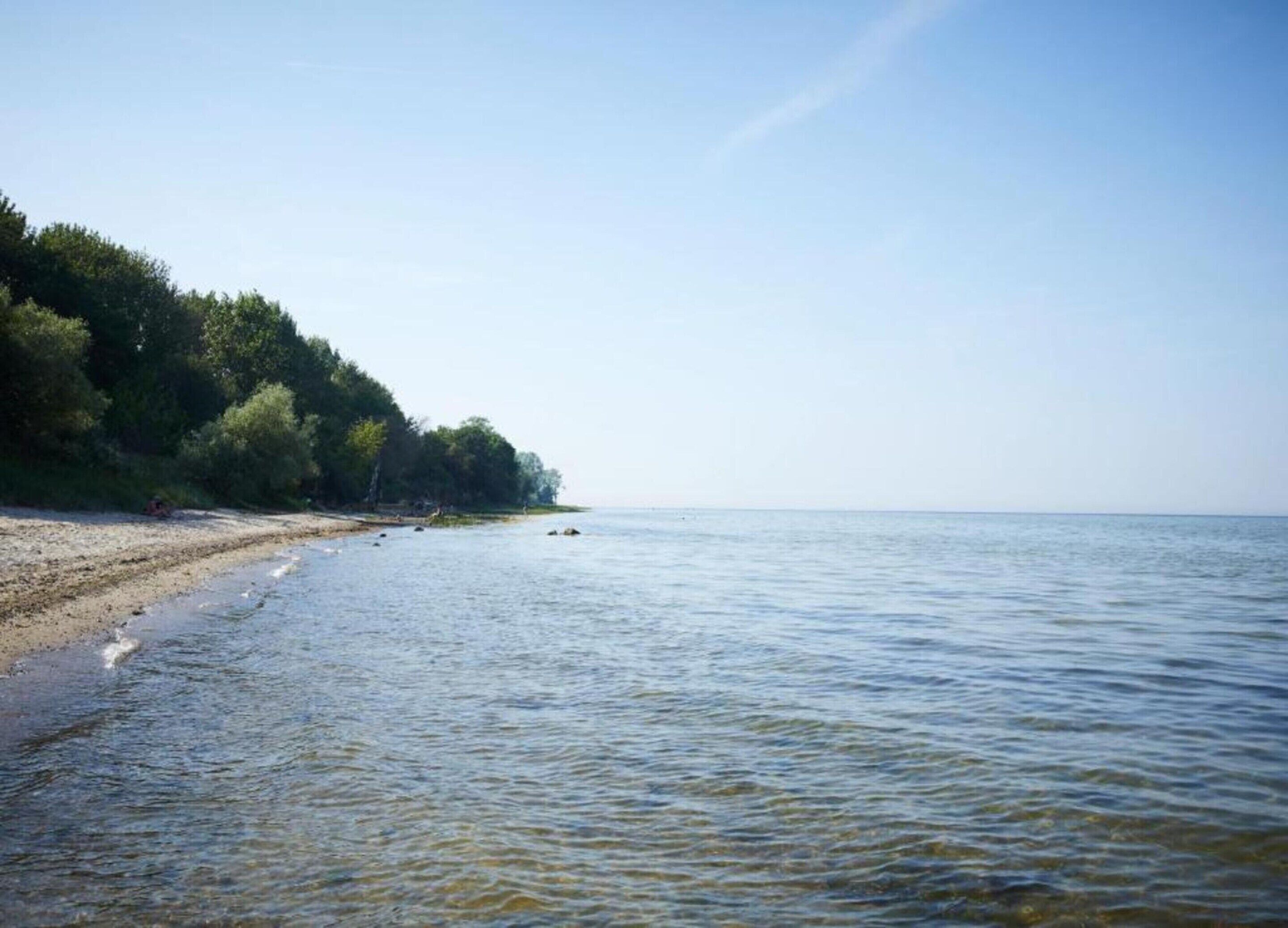 A beach with clear water and a forested area on the left.