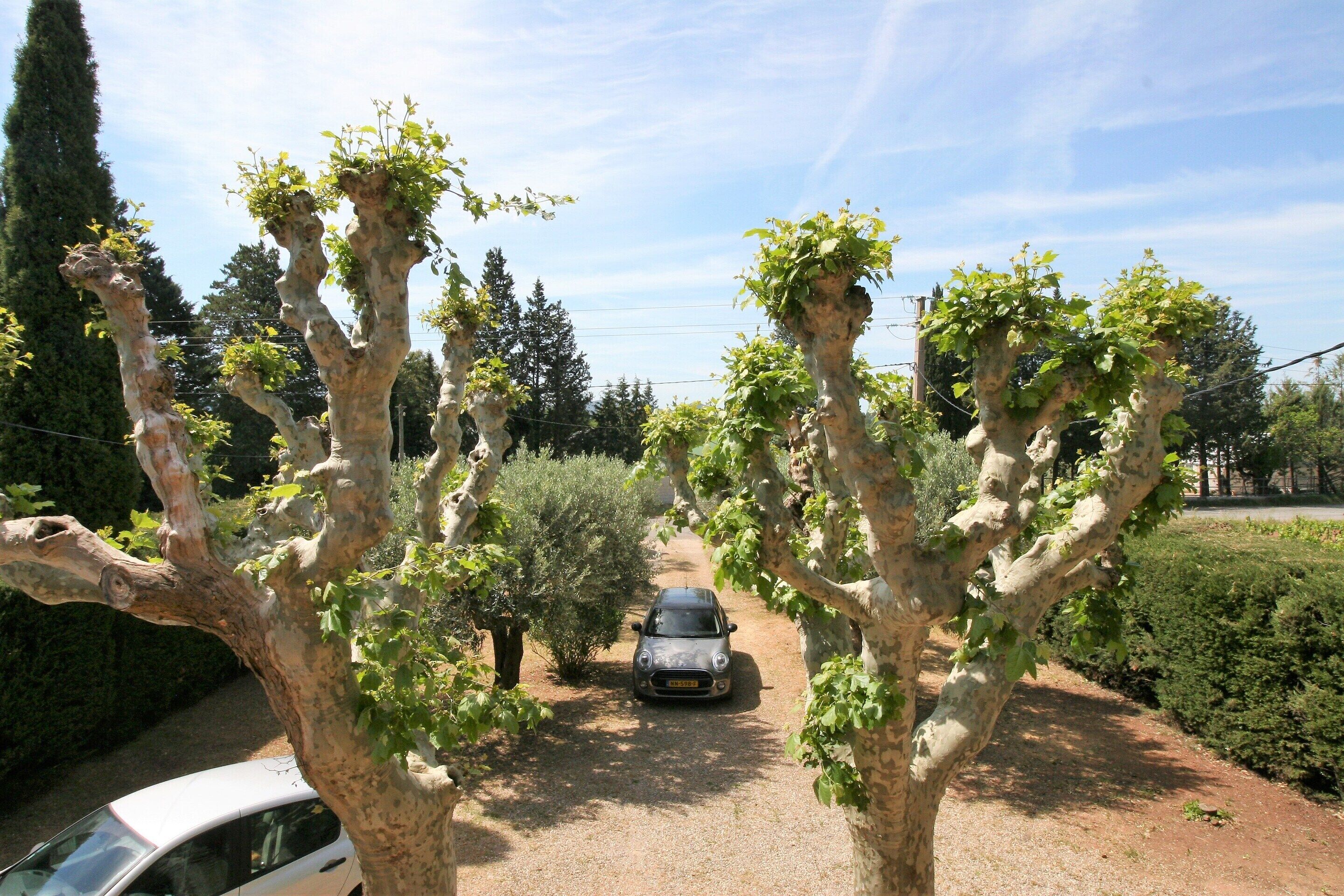 Villa | Garden