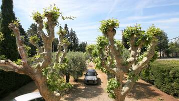 Villa | Garden