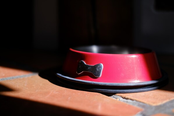 Un cuenco rojo para mascotas con un logotipo con forma de hueso sobre un suelo de baldosas.