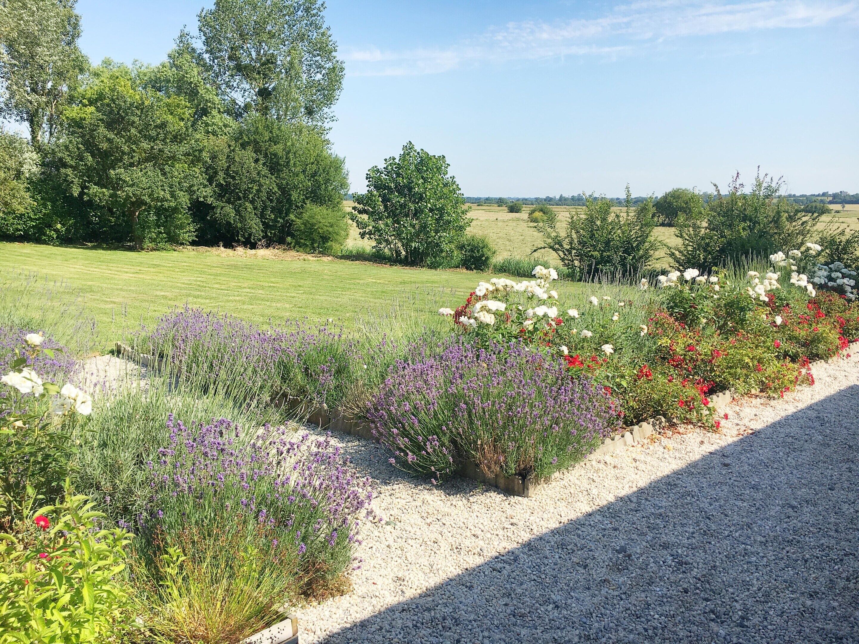 Cottage | Garden