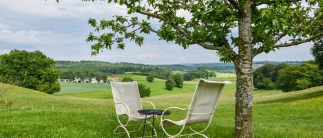 Two white chairs and a small table under a tree, overlooking a green landscape with rolling hills.