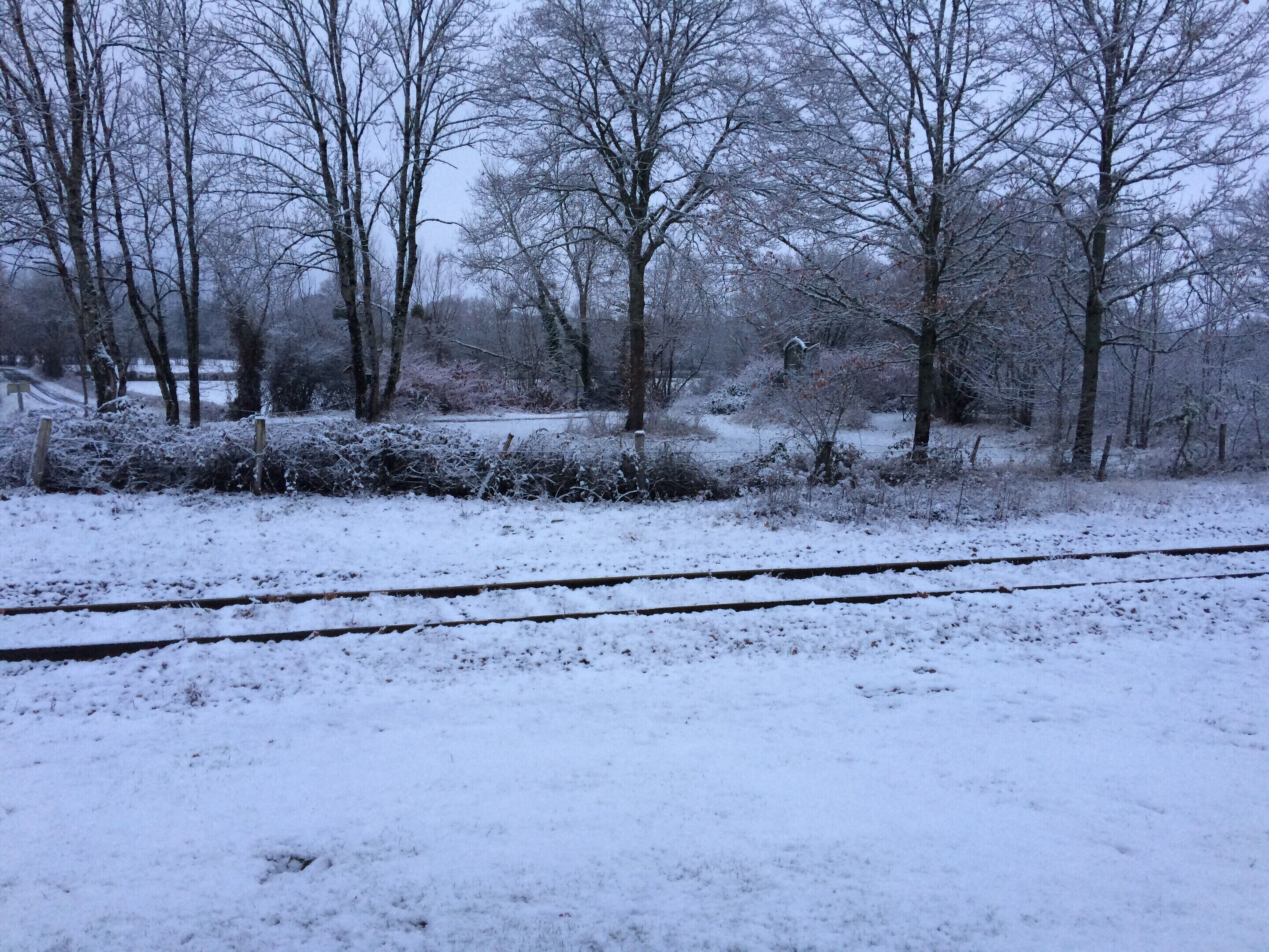 Schneebedeckte Landschaft mit Bäumen und einem Gleis.