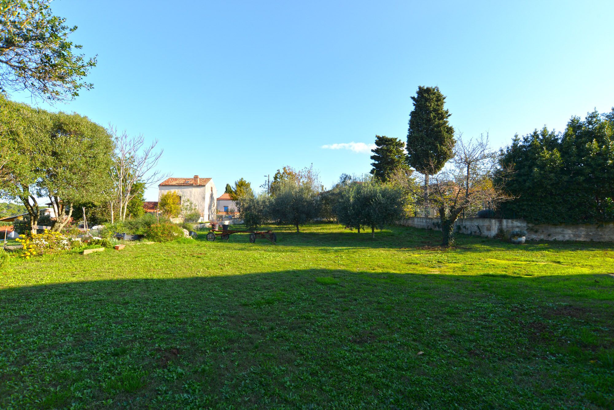 A grassy area with a building in the background.