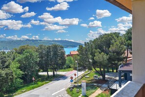 Vista desde la propiedad