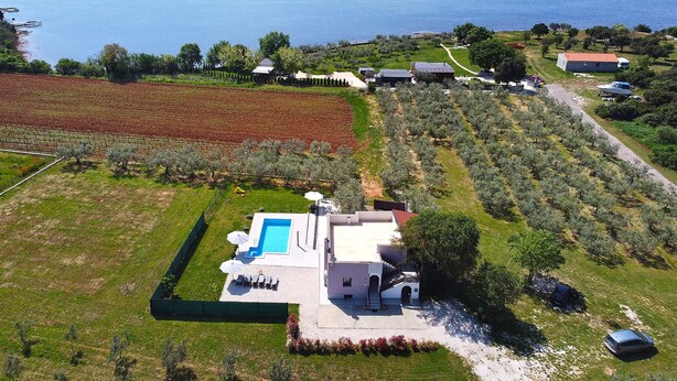 A large house with a swimming pool, surrounded by olive groves and fields. - House 1790 (Medulin)