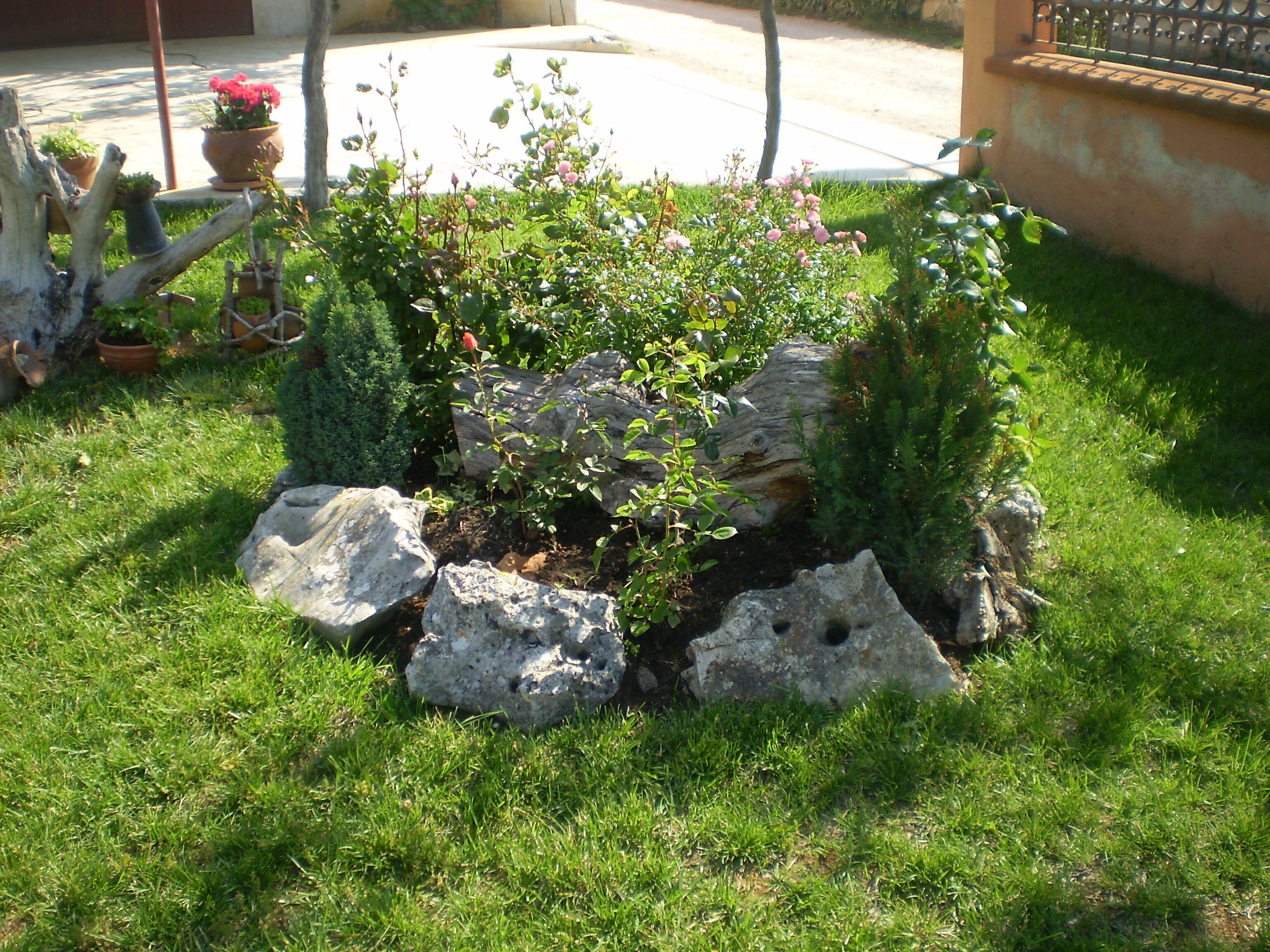 Un jardin où l’on trouve une grande variété de plantes et de roches.