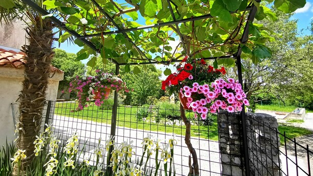 A garden with a pergola, hanging flower baskets, and a stone wall. - Apartment 1814 (Kanfanar)