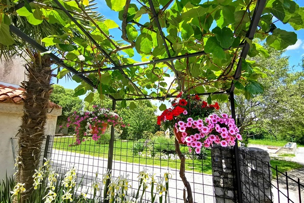 Standard Apartment, 2 Bedrooms (21495) | Garden view