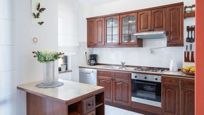 A modern kitchen with wooden cabinets, stainless steel appliances, and a marble countertop. - Apartment 1816 (Barban)